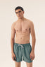 Swimming trunks model 211995 Henderson