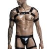 Harness Outfit 18276 - S/L