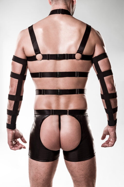 The set consists of a harness top