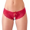 Cottelli Collection Lace Briefs S - Elegant Floral Open Style