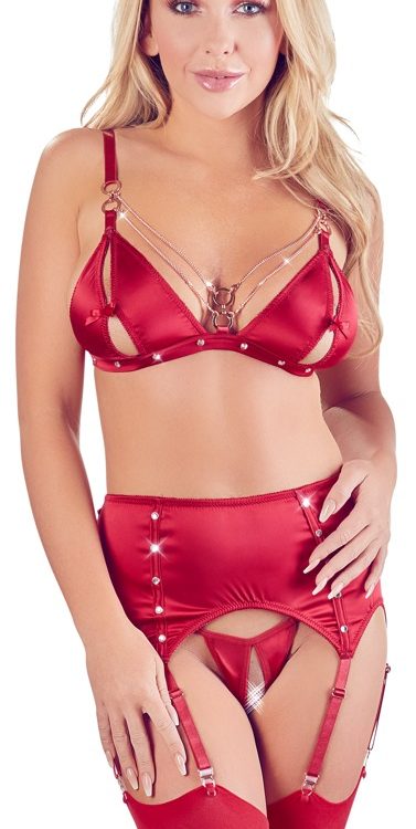 Bra and Suspender Set