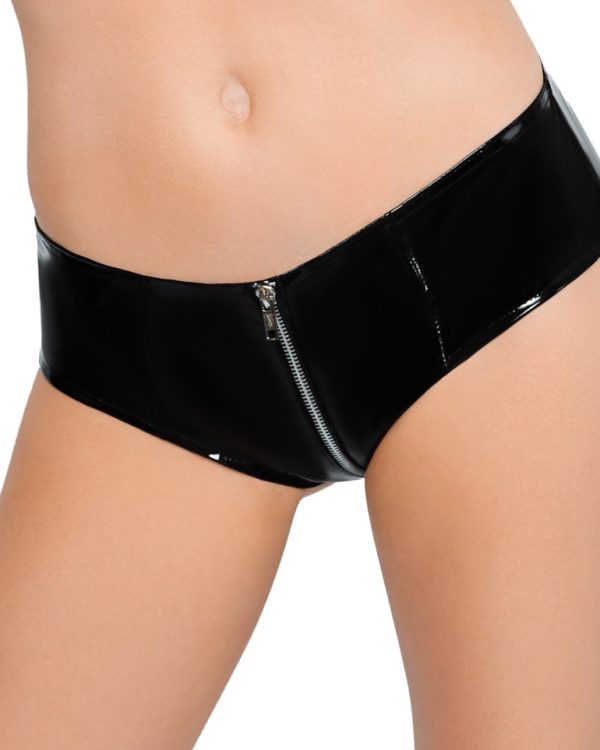 Vinyl Briefs