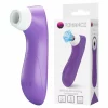 ROMANCE Clitoral Suction Tool Purple - 8-Level Pulsation