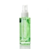 <p><strong>Fleshlight FleshWash Cleaning Spray 100 ml</strong></p>