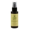 <p>Experience convenient support for your active routine with the CBDfx Active Spray 60ml. Specially designed for people with dynamic lifestyles
