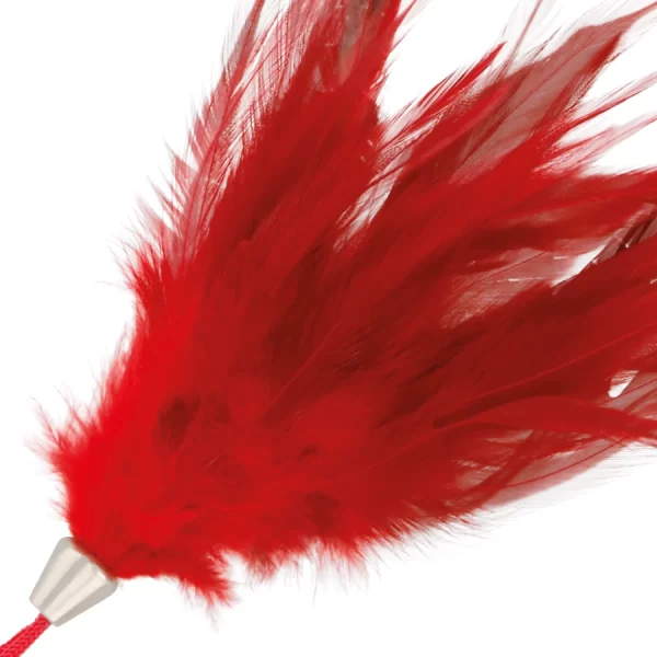 Ergonomic Handle
