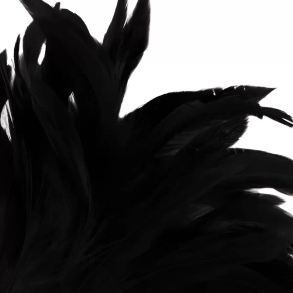 <b>Discover the refined art of sensation play with the Darkness Black Lux Feather Sensation Tool.</b><br><br>This sophisticated accessory is designed for those who appreciate subtle and elegant ways to enhance intimacy. Featuring soft