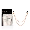 Coquette Chic Desire Metal Chain Nipple Accessory - Nickel-Free