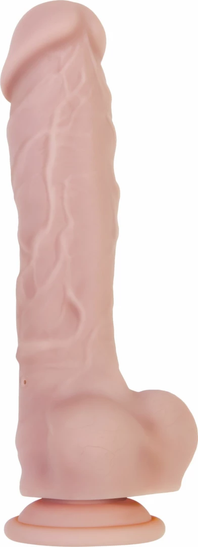Dildos & dongs