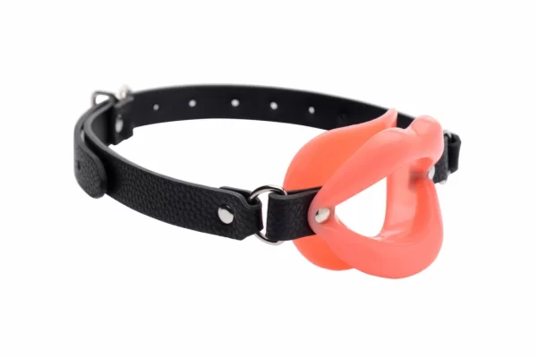<h2>Master Series Silicone Adjustable Oral Training Gag â€“ Black</h2>