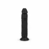 Dildos & dongs