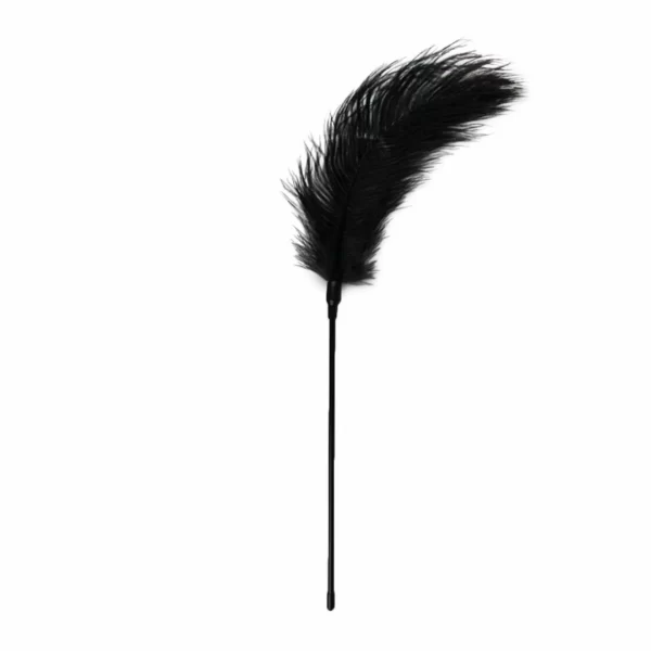 Ouch! Black Feather Sensation Teaser - Soft Touch