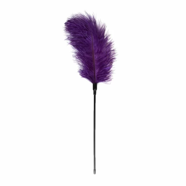 EasyToys Feather Tickler Purple - Sensual Touch Accessory