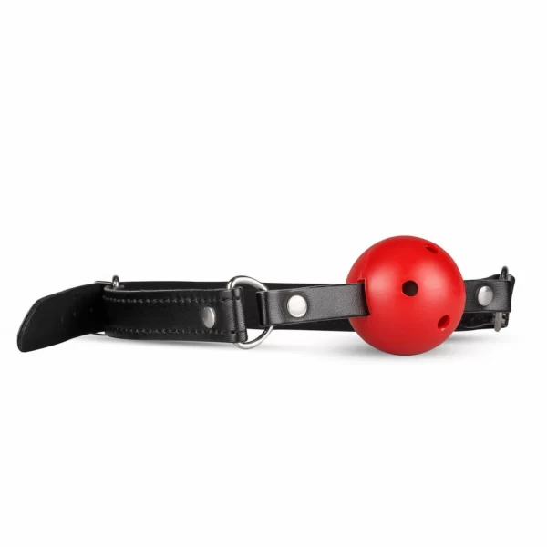 Secret Pleasure Chest Red Dragon - Zestaw akcesoriow BDSM 8 elementow