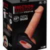 Dildos & dongs