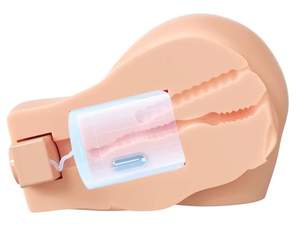 Realistic Body Torso