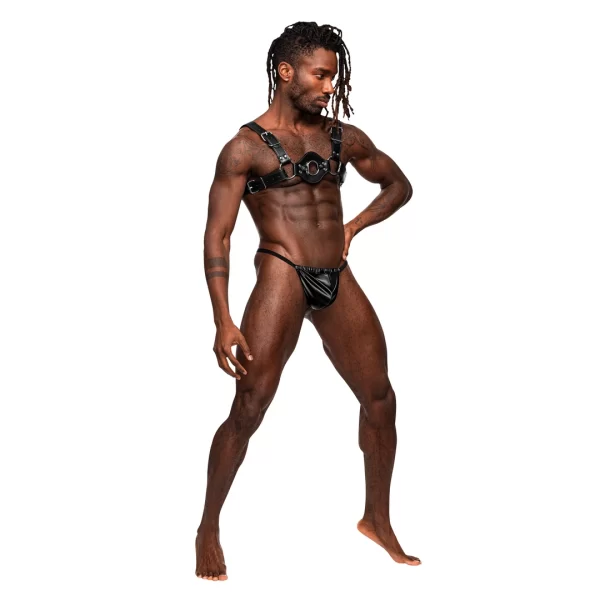<p>Discover the bold design of the Male Power Libra Adjustable Harness