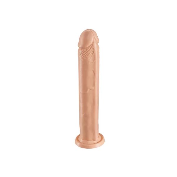 Dildos & dongs