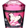 Shunga Oil Raspberry Feel 100