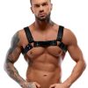 Harness Harness