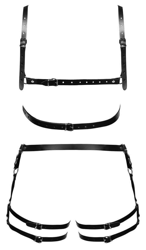 Harness-Set aus Leder