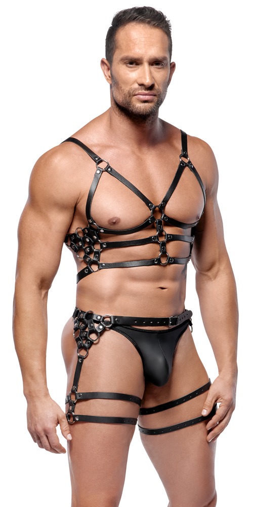 Harness