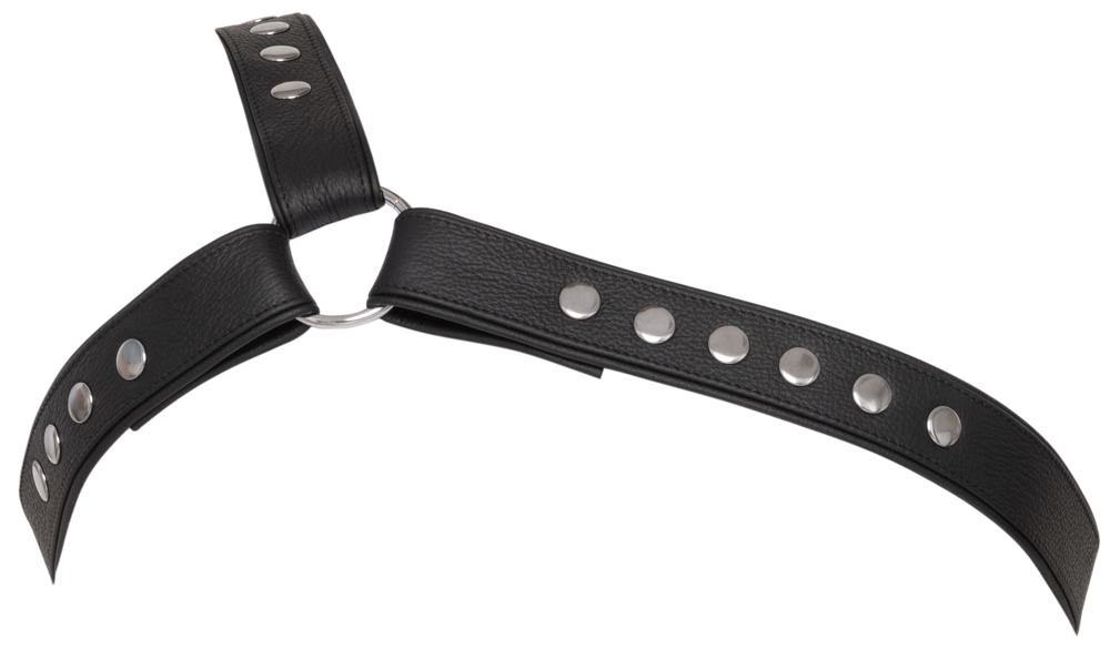 Mens Underwear>Fetishwear for Him>Other bondage