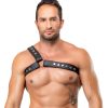 Leder-Brustharness