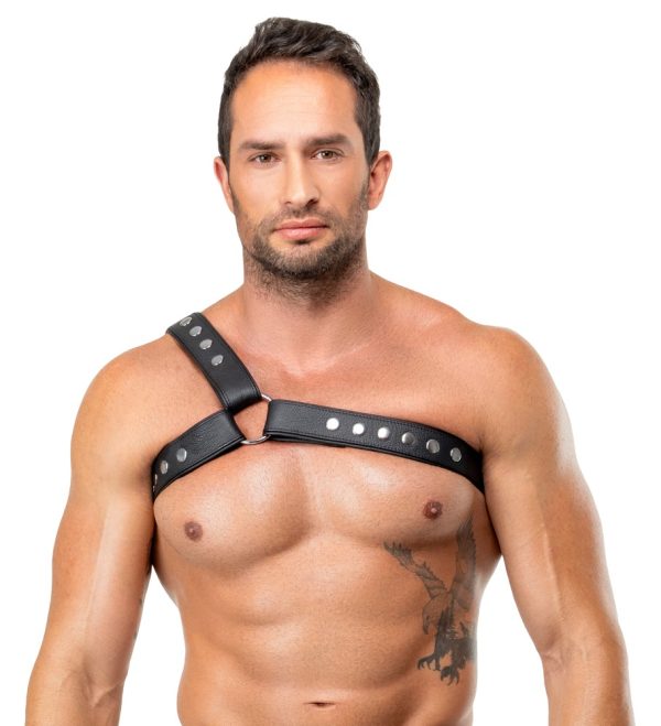 Leder-Brustharness