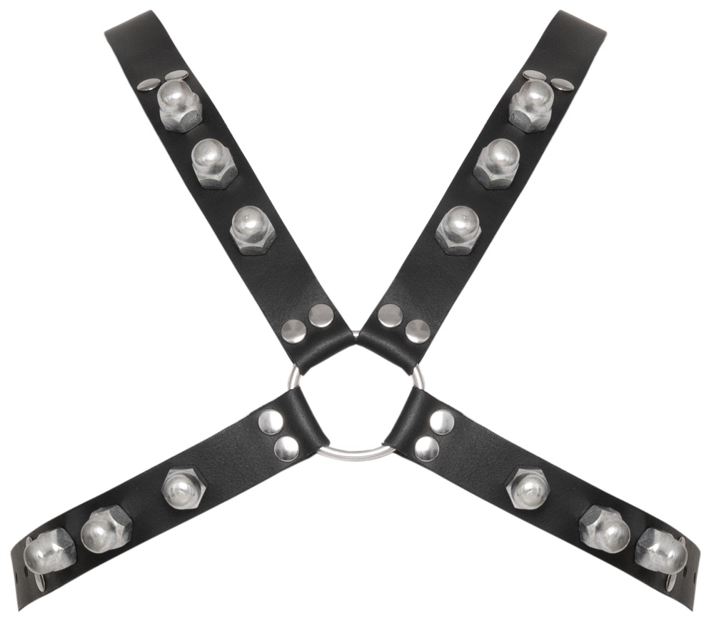 Mens Underwear>Fetishwear for Him>Other bondage
