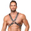 Leder-Brustharness