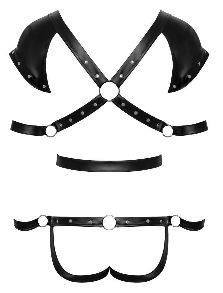 Herren Harnessbody XL