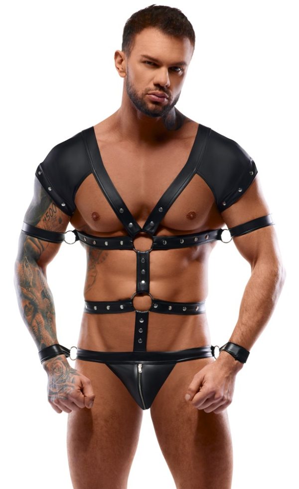 Harness