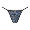 OBS Tanga L/XL