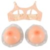 Breasts with Bra