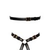 Harness Harness