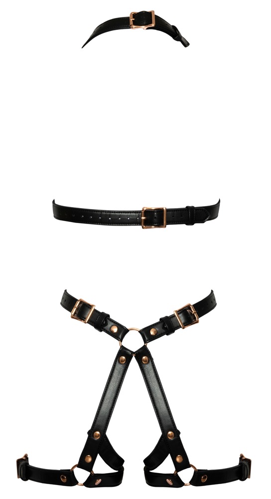 Harness Harness