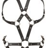Harness-Body Harness