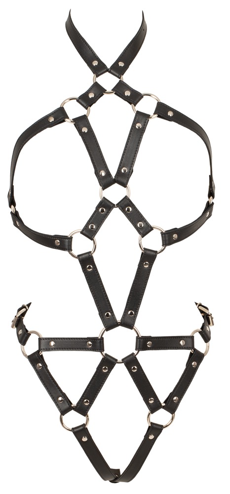 Harness-Body Harness