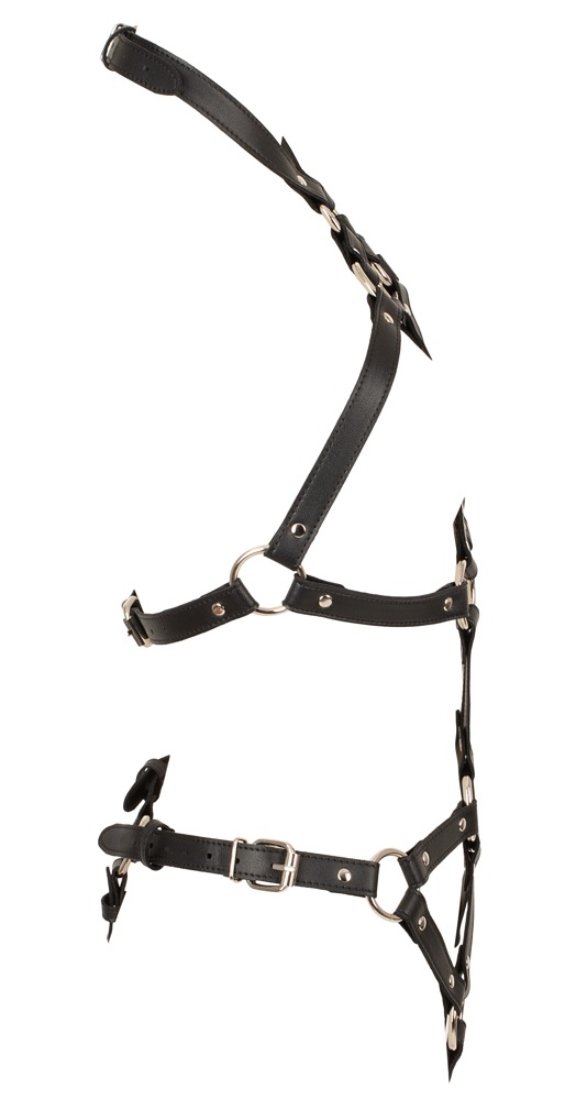 Lingerie Women>Fetish>Bondage lingerie Lingerie Women>Fetish>Bondage lingerie