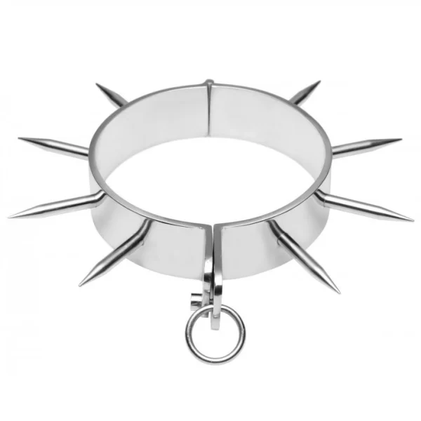 Chrome Collar with Points and O-Ring