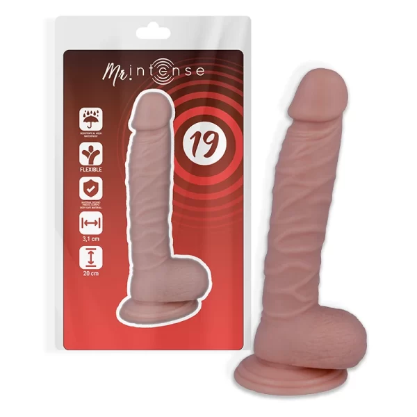 19 Model