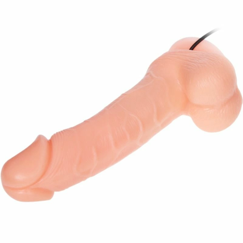 Suction Cup Suction Cup