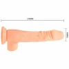 Suction Cup