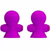 Nipple Stimulators 12M Lilac USB Rechargeable Silicone