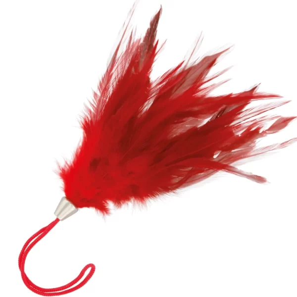 Red Sensory Feather Wand 20cm - Soft Touch