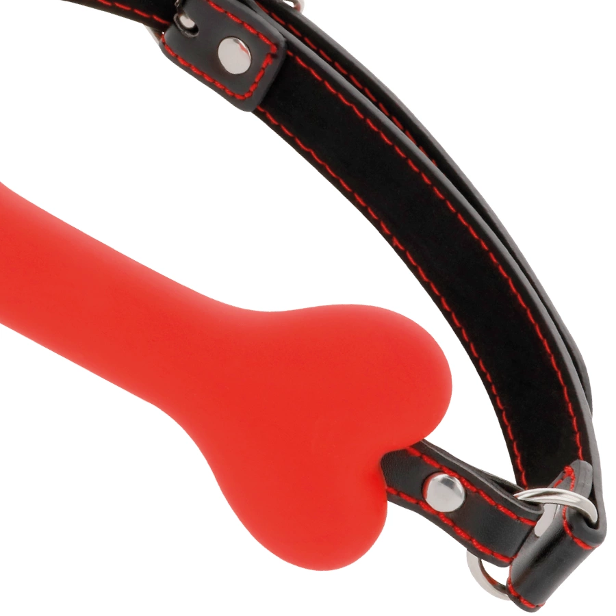 Mouth Gags Bondage