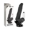 Articulated Vibrating Model with Remote