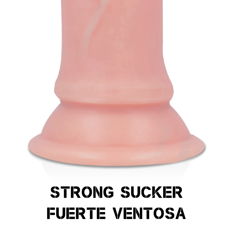 Dildos & dongs