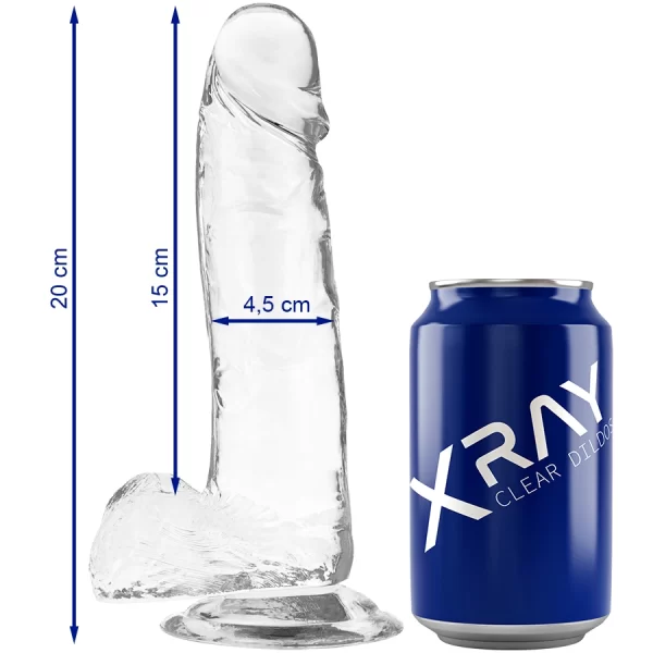 XRAY Clear 20cm Anatomical Model with Base